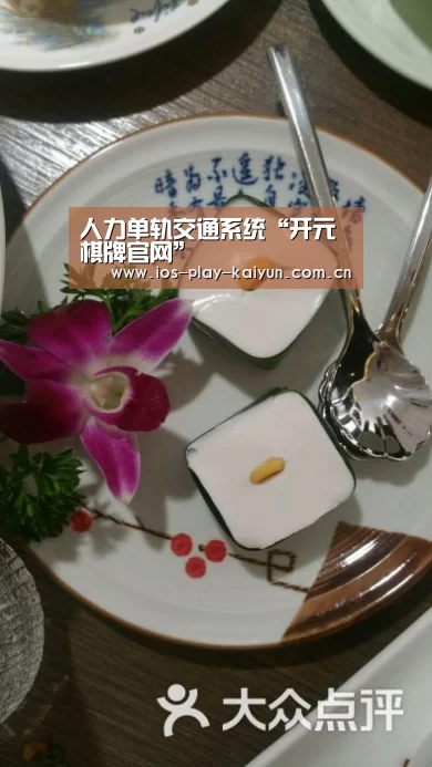 人力单轨交通系统“开元棋牌官网”(图1) 开元棋牌官网