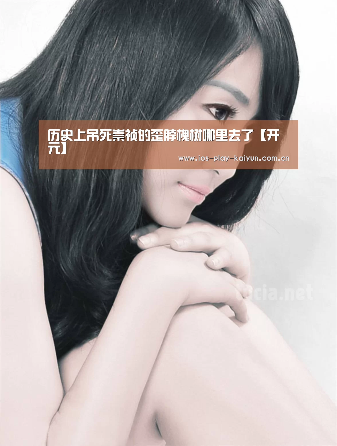 历史上吊死崇祯的歪脖槐树哪里去了【开元】(图1) 开元棋牌网址