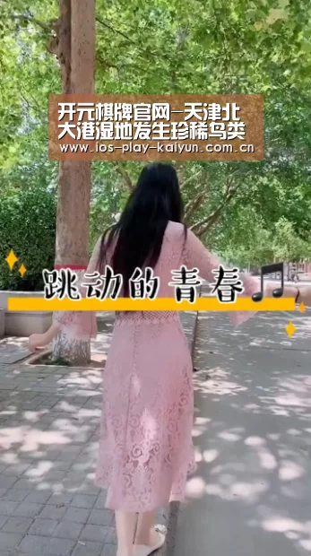 开元棋牌网址