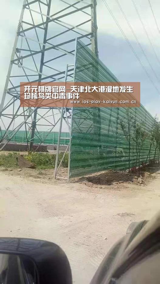 开云棋牌官网