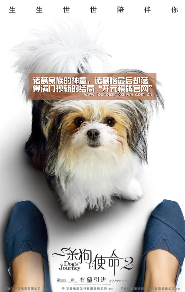 开元棋牌网址