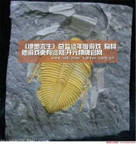 开元