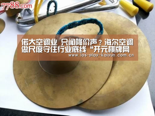 偌大空调业 只闻降价声?海尔空调做尺度守住行业底线“开元棋牌网址”(图1) 开云棋牌官网
