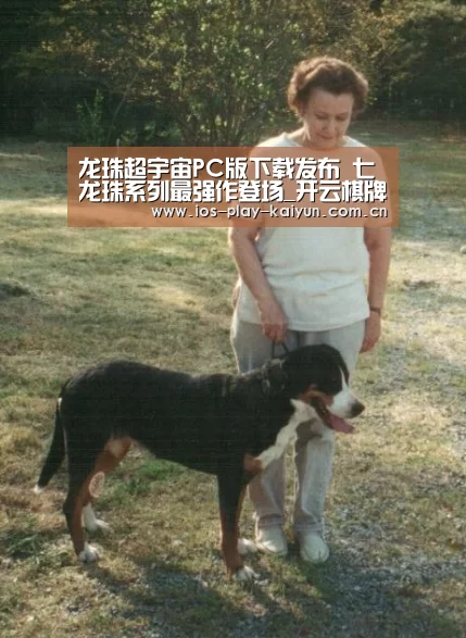 龙珠超宇宙PC版下载发布 七龙珠系列最强作登场_开云棋牌官网(图1) 开云棋牌官网