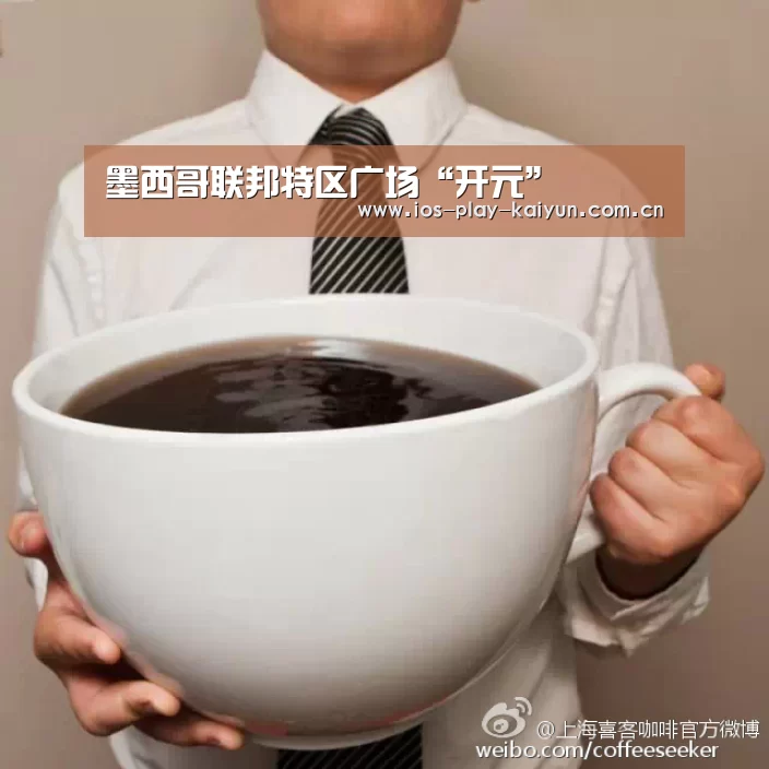 墨西哥联邦特区广场“开元”(图1) 开元